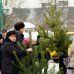 Грудень 2012. Новорічний шопінг