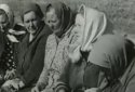 Народицький район. Через 2 роки після катастрофи